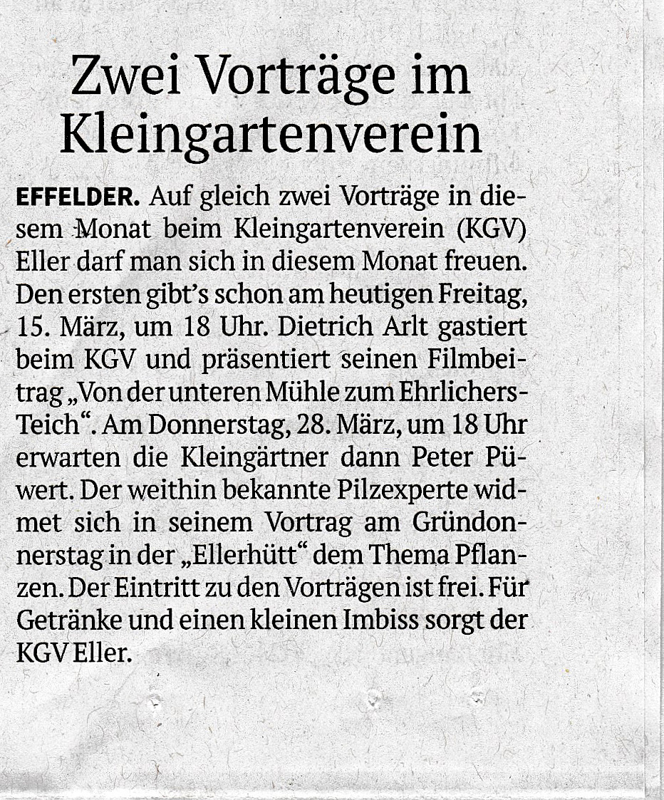Presseartikel